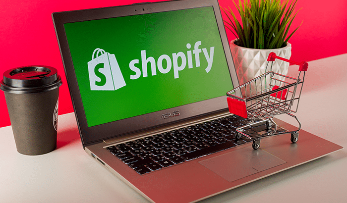 E-commerce Platform: The Rise of Shopify Stores