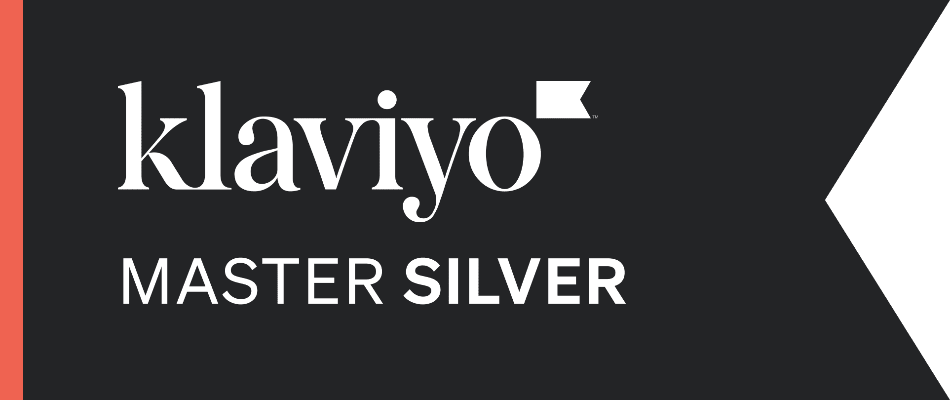 klaviyo master silver