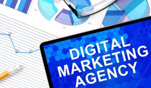 Digital Marketing Agencies: What They Have to Offer for Your Business