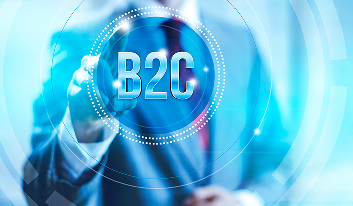 B2C Content Marketing: Your Total Guide