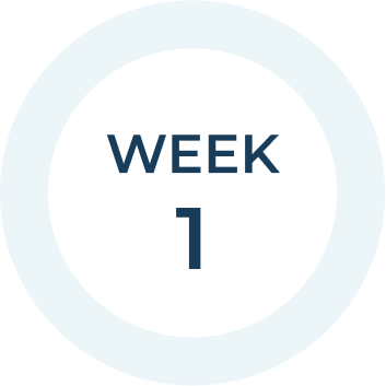 Week 1: Audit & Kickoff