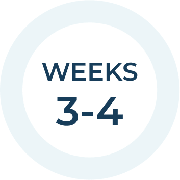 week 3-4: Create & Refine