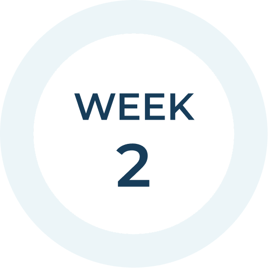 week 2: Research & Planning